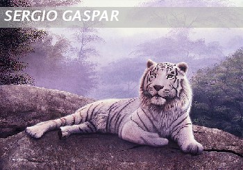 Tigre blanco