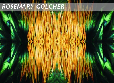 Composition of feathers 1