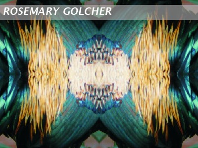 Composition of feathers 4