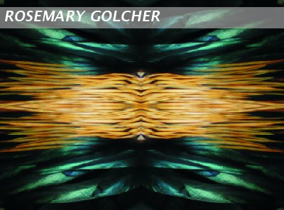 Composition of feathers 5