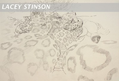 The rabbit & the hare